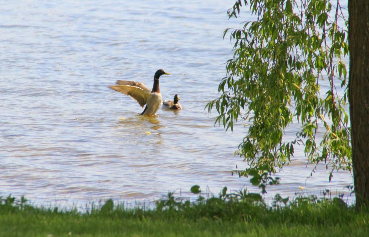 Junior-Suite Relaxe Am See Ascheberg  Buitenkant foto